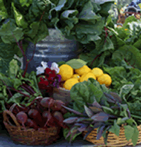 food distribution